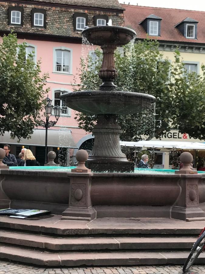 Ferienhaus Heil Neustadt an der Weinstrasse Bagian luar foto